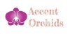 Accent Orchids