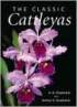 Classic Cattleyas