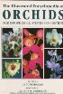 Illustrated Encyclopedia of Orchids