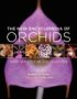 New Encyclopedia of Orchids: 1500 Species in Cultivation