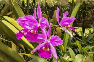 Image 293-5
