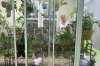 Dianne's Attached Greenhouse