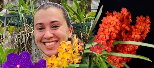 Monthly SAOS Meeting