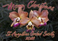 Christmas Auction